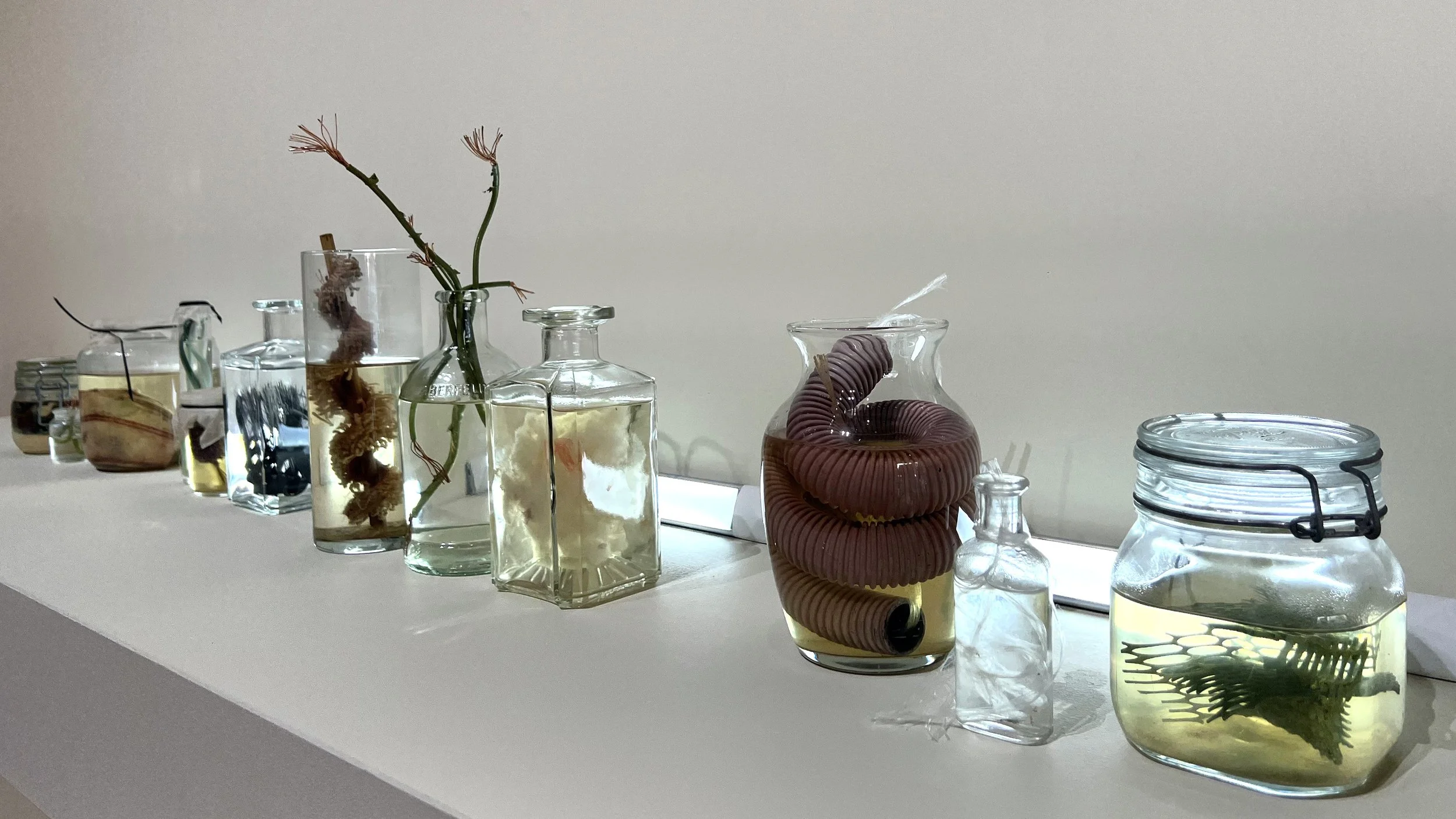 T.R.A.S.H. into Treasure — Reuse Alliance